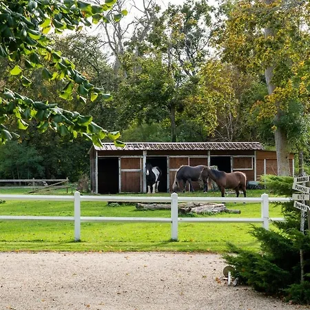 Maison 4 Hébergement de vacances *